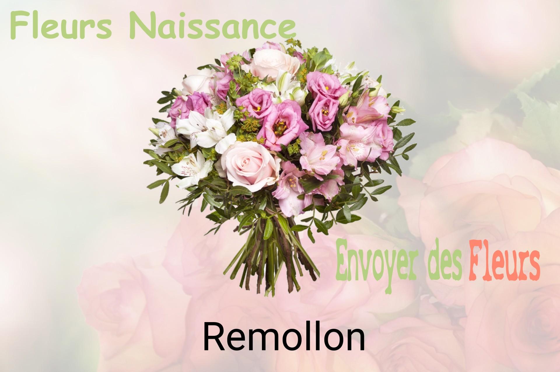 Bouquet de fleurs de naissance livré à Remollon